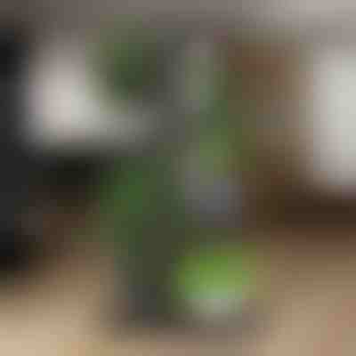 Stojan na kvetináče | POTSTAGE