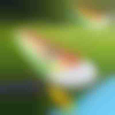 Nafukovacia šmykľavka (465 x 80 cm) | REEFLY