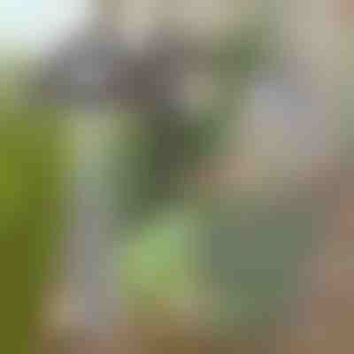 Motyka na záhradu pre jednoduché odstraňovanie buriny | GRASSOE