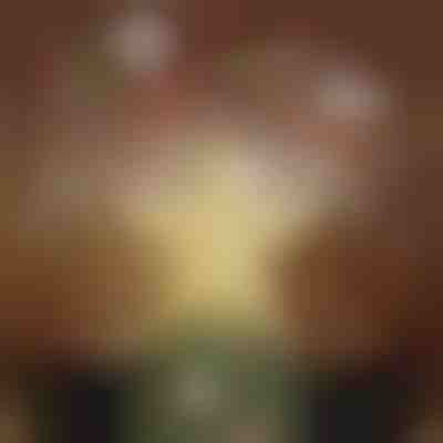 Vianočná hviezda s projektorom | FLAKELITE