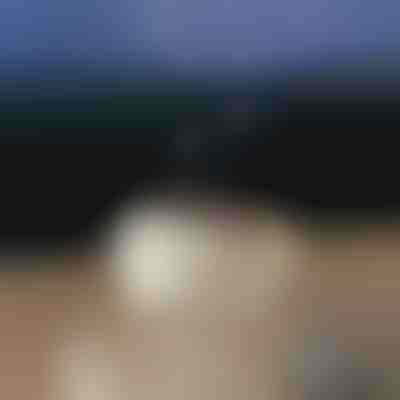 Upokojujúci aróma difuzér | MEDUSAMIST